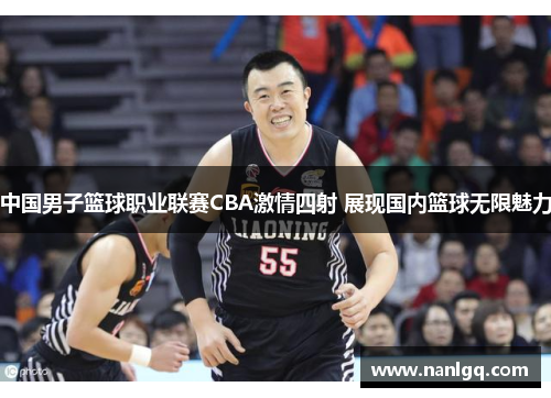 中国男子篮球职业联赛CBA激情四射 展现国内篮球无限魅力